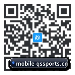 系统版 Android 二维码